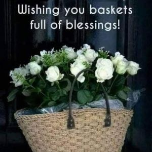 Meet your Posher, Carlton